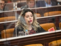 PDP-ova ODBORNICA DIJANA JEŠIĆ TRAŽI DA SE STVARI NAZOVU PRAVIM IMENOM: 'Krađa glasova nije i ne može biti statistička greška'