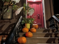 OKTOBAR U NEW YORKU: Užurbane pripreme pred Noć vještica, pogledajte kako Amerikanci uređuju svoja dvorišta (FOTO)