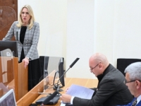 'BILO JE STRATEŠKI VAŽNO...': Kao svjedokinja Odbrane Džombića svjedočila i Željka Cvijanović