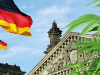 OBEĆALA SCHOLZOVA VLADA: Njemačka planira legalizirati kanabis u rekreativne svrhe