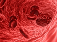 STRUČNJACI DOŠLI DO NEVJEROVATNE SPOZNAJE: Otkriće nove i vrlo rijetke krvne grupe moglo bi spasiti živote…