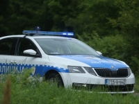 NOVI DETALJI JEZIVOG ZLOČINA KOD PETROVA: Zbog zemlje jednog komšiju ubio, drugog ranio pa...