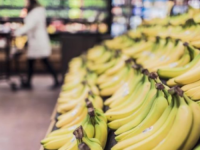 RADNICI OTKRILI: U paketima banana pronađeno 30 kilograma kokaina