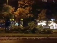 JAK VJETAR U SARAJEVU: Oboreno stablo na ulicu, jedna traka blokirana
