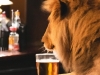 VIC DANA: Sjede lav i bik za šankom i piju, a onda lavu iznenada zazvoni mobitel…