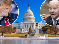 IZBORNA GROZNICA TRESE AMERIKU: Već je glasalo 42 miliona Amerikanaca, a već se zna ko će presuditi izbore