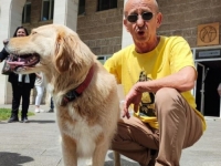 TUŽNA VIJEST IZ MOSTARA: Nakon kraće bolesti preminuo slikar Davorin Briševac Okac