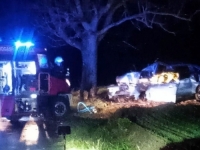 TEŠKA SAOBRAĆAJNA NESREĆA U BiH: Muškarac poginuo nakon što je automobilom udario u drvo