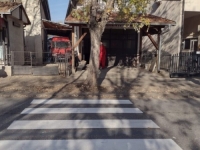 VJEROVALI ILI NE: Pješački prelaz u jednom naselju u Kragujevcu vodi pravo u drvo, i znak koji  spriječava... (FOTO)