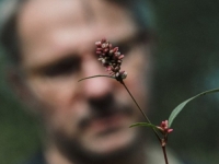 BURSAĆ O POLJIMA ZLA ZA ISMAROV HERBARIUM: Koje biljke rastu iznad masovnih grobnica?