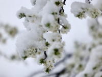 NA SNAZI NARANDŽASTI METEOALARM: Snijeg stiže u BiH