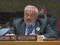 BH GRAĐANI IZ SAD, KANADE: 'Zaustavimo uništavanje Bosne i Hercegovine, podrška ambasadoru Svenu Alkalaju'