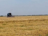 UZ POSREDOVANJE TURSKE I UN-a: Rusija se vraća sporazumu za izvoz ukrajinskih žitarica