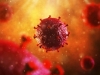 OPASNOST VREBA: Sve više ljudi u Europi zaraženo je ovim virusom, a da toga nisu ni svjesni…