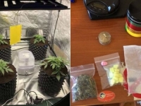 POLICIJSKA AKCIJA U SARAJEVU: U Švrakinom Selu pronađena laboratorija za uzgoj marihuane