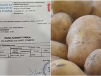 PRONAĐEN KANCEROGENI KADMIJ: Mostarska firma se oglasila o krompiru vraćenom sa hrvatske granice