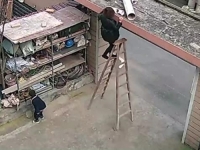 MALENI HEROJ: Pogledajte kako je petogodišnji unuk spasio svoju baku (VIDEO)