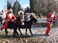 ZABAVNO U HERCEGOVINI: Evo ko je odnio pobjedu u utrci magaraca u Čapljini
