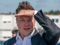 TVITERAŠI SU ODLUČILI: Elon Musk...