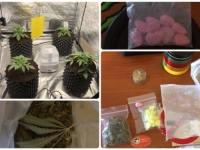 POLICIJA UPALA U STAN U ŠVRAKINOM SELU: Pronašli laboratoriju za uzgoj 'trave' i ecstasy
