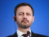 PALA SLOVAČKA VLADA: Mogući vanredni izbori