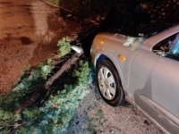 OLUJNO NEVRIJEME: Stabla padala po vozilima nakon olujnog nevremena u Mostaru