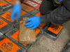 USPJEŠNA AKCIJA SIGURNOSNIH AGENCIJA U SARAJEVU: Zaplijenjeno 52 kilograma kokaina