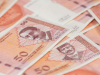 STATISTIKA JE NEUMOLJIVA: Prosječna neto plaća u Bosni i Hercegovini u novembru iznosila je...