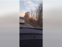 SNIMLJEN DOK TRČI UZ CESTU: Majmun sa mladučetnom pobjegao s ranča kod Prijedora (VIDEO)