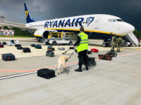 LAŽNA DOJAVA: Avion Ryanaira sletio zbog upozorenja o bombi