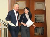 TRIVIĆ OBJAVILA RAT BORENOVIĆU: 'Njegov stav nije obavezujući!'