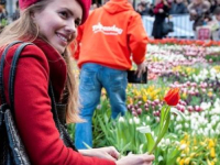 NACIONALNI DAN TULIPANA: Hiljade ljudi besplatno dobilo cvijeće (FOTO)