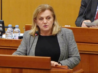 SABORSKA ZASTUPNICA ŽESTOKO UZVRATILA ZORANU MILANOVIĆU: 'Kosovo se osamostalilo po istom modelu kao i Hrvatska'