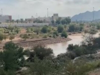 PUSTINJA OZELENILA: Ambasador BiH u Saudijskoj Arabiji objavio snimak s prizorima koji navodno nisu česti (VIDEO)