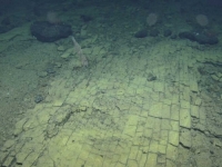 NEVJEROVATNO OTKIĆE EKSPEDICIJE: Čudo na dnu okena – 'cesta od žute cigle' (VIDEO)