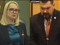 SVAĐA U PARLAMENTU: Mešalić demantovao Elzinu Pirić - 'Izrekli ste mnogo neistina!'