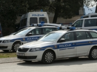 STRAVA U ZAGREBU: Stafordski terijer pobjegao pijanom vlasniku pa na ulici napao i izgrizao petogodišnje dijete