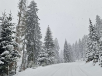 SKI CENTRI NAPOKON ODAHNULI: Turistička sezona nije potpuno izgubljena, pogledajte prelijepe prizore sa Vlašića gdje snijeg intenzivno pada (FOTO)