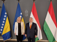 ŽELJKA CVIJANOVIĆ U BUDIMPEŠTI: Nakon sastanka s Orbanom, počeo i...