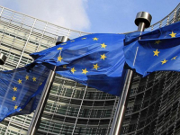 JOŠ OSAM 'U PROCEDURI': EU odobrila prodaju dva kukca za ljudsku prehranu