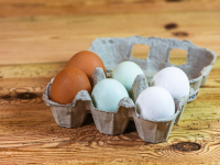 DODATAK MNOGIM JELIMA: U čemu je razlika između smeđih i bijelih jaja?
