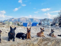 KRATAK PREDAH ZA MALE SPASIOCE: 'Sedam veličanstvenih' iz Turske raznježili regiju