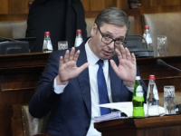 ALEKSANDAR VUČIĆ O PREGOVORIMA: 'Svakako nisam optimista poznavajući Kurtija i Prištinu'