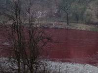ARCELOR MITTAL SE OGLASIO O CIJELOM SLUČAJU: 'Crvena zamuljena voda nije naštetila biljnom i životinjskom svijetu u rijeci Bosni'