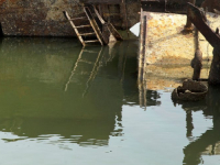 STRAVA U SRBIJI: Tijelo muškarca sa vezanim nogama i rukama pronađeno u Dunavu