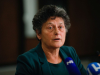 TINEKE STRIK, OTVORENO: 'Konaković se nije sastao sa mnom i kolegama koji podržavamo proces pristupanja EU!' (VIDEO)