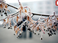 STEGLO I U HERCEGOVINI: Živa na termometru pokazuje minus 19, najhladnije u ovim gradovima...