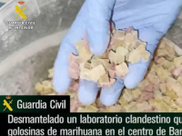 RACIJA U BARCELONI: Španska policija otkrila tajni laboratorij za proizvodnju gumenih bombona od marihuane