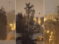 OVAKO JE SVE POČELO: Prije nego se tlo počelo tresti ptice su podivljale (VIDEO)