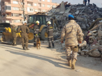 'TUGA POLAKO...': Nijemci objasnili zašto su prekinuli potragu i spašavanja u Turskoj (FOTO, VIDEO)